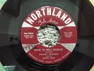 VERY RARE ROCKABILLY-JOHNNY EDWARDS WITH WHITE CAPS-ROCK N ROLL SADDLES-45-NICE