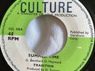 TRADITION Summer Time Rocker CULTURE CUL556 JA EX
