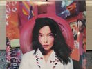 Björk 