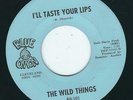 OH Psyck Rock - The Wild Things BLUE ONION 101 I'll taste your lips / Summer's ?