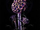 Blut Aus Nord - Hallucinogen 2 x LP - 180 Gram Colored Vinyl Record SEALED Album