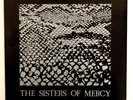 Sisters of Mercy 'Anaconda; 7