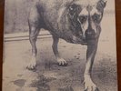 Alice in Chains   Alice in Chains  2 x lp   first USA press 1995    vg+/Ex