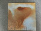 Pink Floyd - Meddle - 1971  Harvest Label SHVL 795 First Press A1/B1
