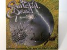 Grateful Dead Dark Star Born Cross Eyed 1977 Promo Warner Bros. Records 7