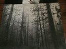 12inch single The Cure, A Forest
