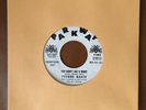 Northern Soul-Yvonne Baker-You Didnt Say A Word-Parkway Demo REISSUE