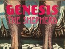 Genesis? The Shepherd 1990 Rare Vinyl 12” LP