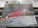 SPRING - 1st UK Press 1971 RCA NEON  Vertigo Swirl EX Pink Floyd Gravy Train