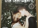 THE TEENAGERS Reality Check w/ 2 BONUS TRX UNRELEASED & MIX LP Vinyl 2008 SEALED
