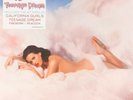 NEW Katy Perry - Teenage Dream (Double White Vinyl LP, 2016, Capitol)