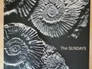 THE SUNDAYS READING WRITING AND ARITHMETIC 1990 GEFFEN DGC US ORIGINAL