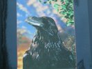 The Stranglers - The Raven - 3D lenticular cover with banned inner sleeve