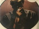 DAVID SYLVIAN RED GUITAR 12in LP Picture Record