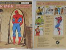Spider Man: Rock Reflections Of a Superhero, Stan Lee U.S. 12