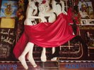 RARE  Mint JANES ADDICTION RITUAL DE LO HABITUAL LP VINYL 1990 EUROPE PRESSING