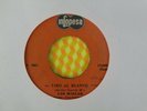 LOS MIRLOS TIRO AL BLANCO MONSTER CUMBIA FUNKY PERUVIAN GUITAR FUZZ PSYCH BEAT