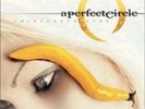 A Perfect Circle - Thirteenth Step [New Vinyl]