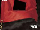 |1956019| Billy Joel - Storm Front [LP Vinile]