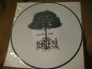 OBTEST gyvybis medis ORIG VINYL PIC LP