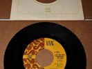 James Lowe/Electric Prunes - Let Me Get Through To You - 1969 VMC PROMO 7