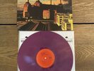 PINK FLOYD Animals LP Philippines Pink Or Magenta vinyl reissue Unofficial Rare