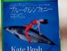 Kate Bush - Toshiba EMI EMR-20567 - Symphony In Blue / FullHouse - Japan 7