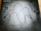 Kate Bush 50 Words for Snow original LP With Booklet