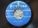 RARE ORIG DETROIT ROCKABILLY-FORTUNE 521-ROY HALL AND HIS BACK ROOM BOYS-45