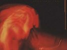 Cough - Still They Pray NEW Vinyl Album LP