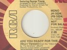 THE BROTHERS Are You Ready For This RCA PROMO  NORTHERN SOUL MECCA WIGAN USA 45
