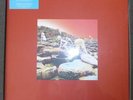 Led Zeppelin - Houses Of The Holy - Super Deluxe Edition Box - CD+ Vinyl LPs OVP