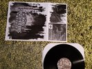 day of suffering sxe oldschool hardcore original vinyl LP animal liberation