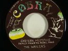 Family Man & The Rebel Arms & The Wailers 