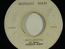 Horace Andy 