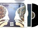 Bombay Bicycle Club-A Different Kind Of Fix Europe LP 2011+Innerbag, Insert '