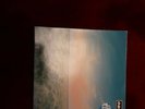 Oasis vinyl record  WHATEVER