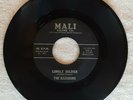 Rare '60s Do-Wop:  The Illusions 