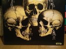 Skull Snaps / Lp Reissue New / Gsf / funky funk soul funk