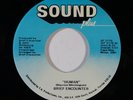 70s Soul 45 BRIEF ENCOUNTER Human/Total Satisfaction on Sound Plus NM
