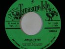 Islands Soul Funk 45 CYNTHIA RICHARDS Jungle Fever on Treasure Isle VG++