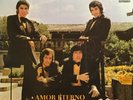 Los Humildes Amor Eterno Ambicion Norteño Tex Mex Tejano lp nm