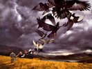 David Gilmour - Rattle That Lock Ltd Heavyweight 16 Photo Lyric Pink Floyd Vinyl