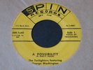 Twilighters   A Possibility / Yes You Are   Spin   Detroit R&B doo wop 45 HEAR
