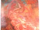 Morbid Angel - Blessed Are The Sick - Earache Records (MOSH 31) Vinyl LP Album