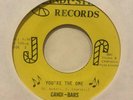 northern sweet soul 45 CANDI-BARS I Believe in You  CANDY-STIX listen