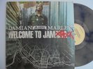 DAMIAN MARLEY Welcome To Jamrock TUFF GONG Insert + Roots Reggae 2 LP HEAR