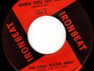MOODY OHIO FUZZ GARAGE PSYCH 45 - THE COLD WATER ARMY - When You Left Me - HEAR