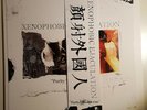 X.E. ** PURITY THROUGH FIRE ** LP ** rar * bizarre uproar * noise goatmoon