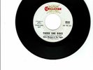Chris Morgan & The Togas Garage Rock 45 (CHALLENGE 59330) There She Goes PROMO